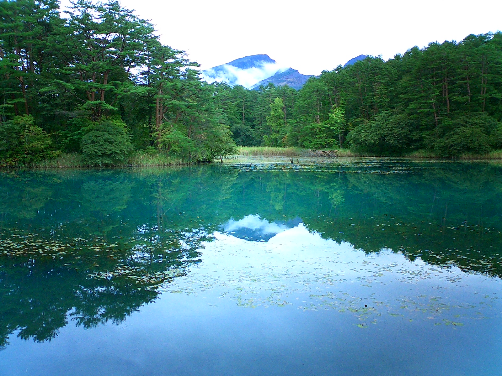 Fukushima